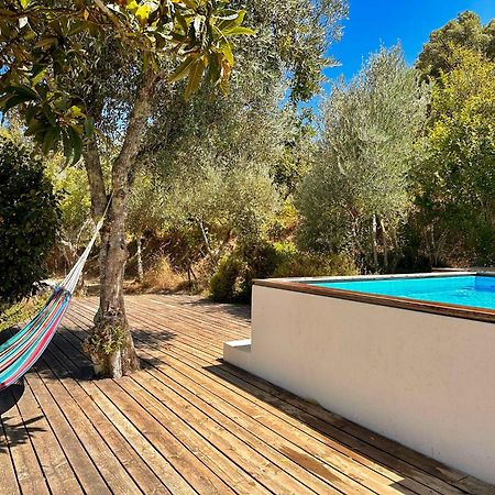 ホテル Glamping Do Ze Cernache do Bonjardim エクステリア 写真