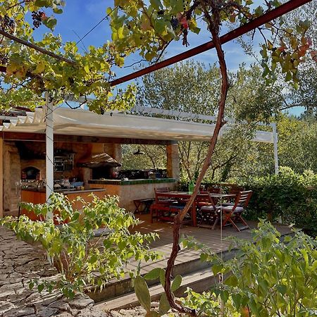 ホテル Glamping Do Ze Cernache do Bonjardim エクステリア 写真