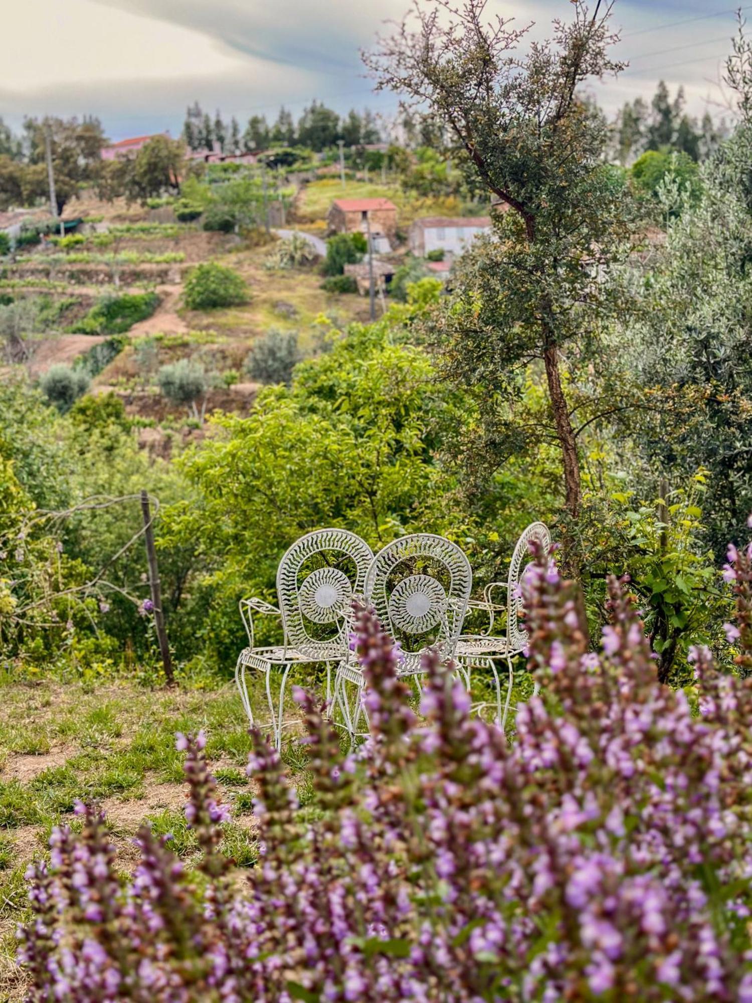 ホテル Glamping Do Ze Cernache do Bonjardim エクステリア 写真