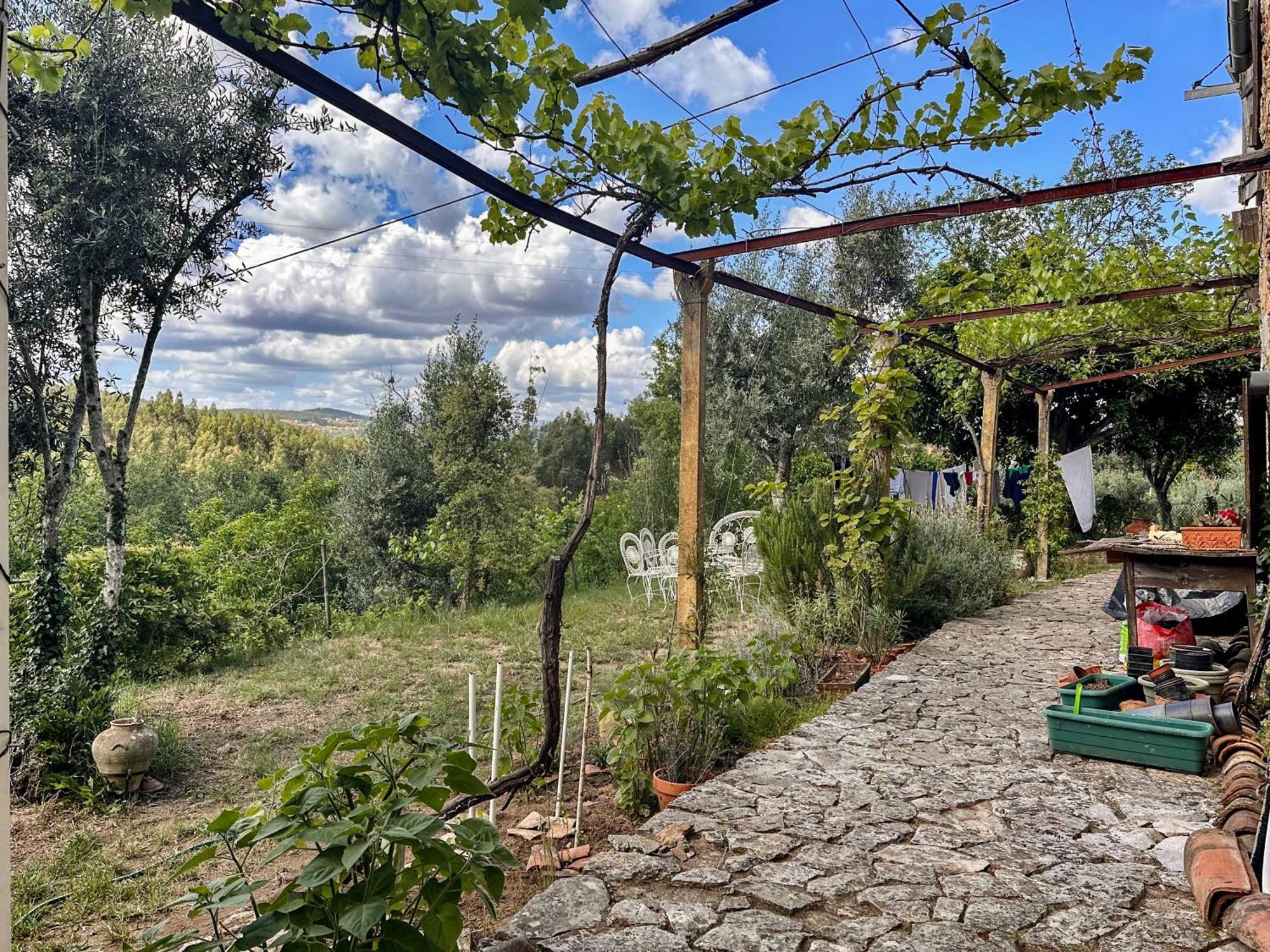 ホテル Glamping Do Ze Cernache do Bonjardim エクステリア 写真