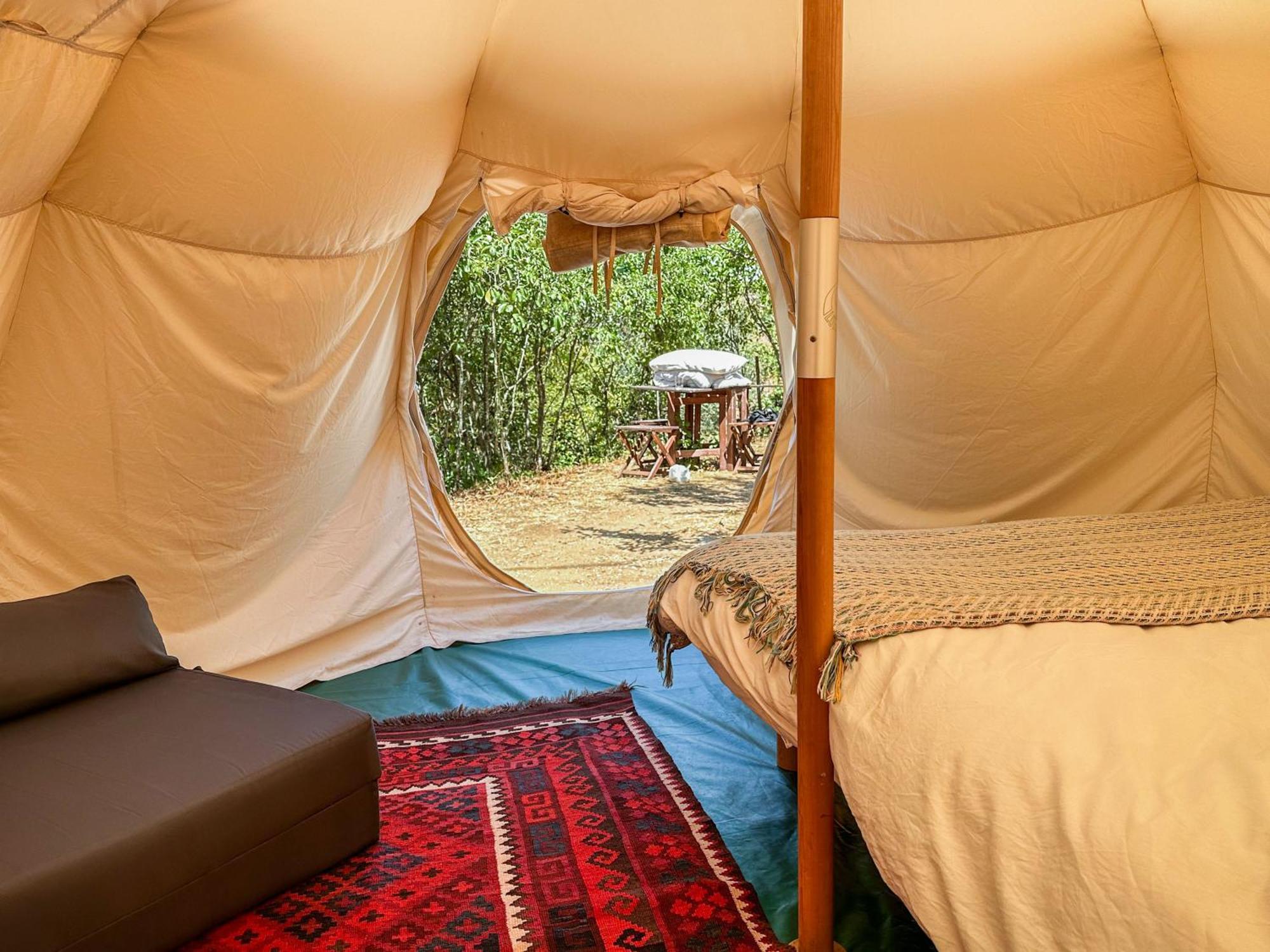 ホテル Glamping Do Ze Cernache do Bonjardim エクステリア 写真